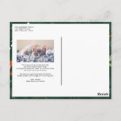 Hallelujah書道モダンクリスマスフォト ポストカード (裏面)