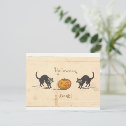 HALLOWEEN-59 カード (スタンド正面)