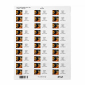 Halloween Black Cat and Pumpkin ラベル (フルシート)