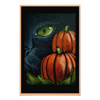 HALLOWEEN BLACK CAT WITH PIMPKINS 4" X 6"プリント フォトプリント           