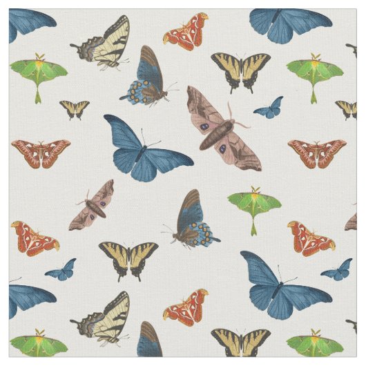 halloween creepy moth print ファブリック (クローズアップ)