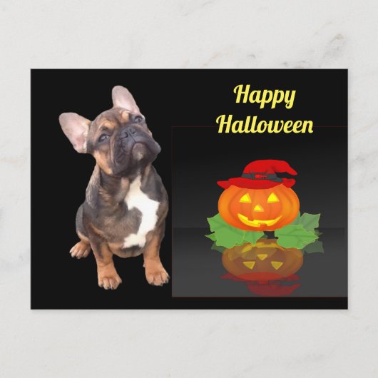Halloween französische Bulldogge French Bulldog ポストカード (正面)