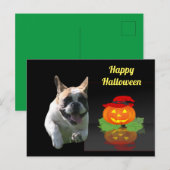 Halloween französische Bulldogge French Bulldog ポストカード (正面/裏面)