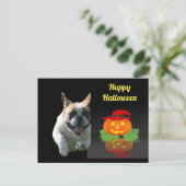 Halloween französische Bulldogge French Bulldog ポストカード (スタンド正面)