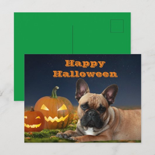 Halloween französische Bulldogge French Bulldog ポストカード (正面/裏面)