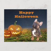 Halloween französische Bulldogge Postkarte ポストカード (正面)