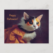Halloween. Katze im Kürbis Kostüm. ポストカード (正面)