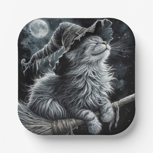 Halloween Kitty On Brromstick ペーパープレート (正面)