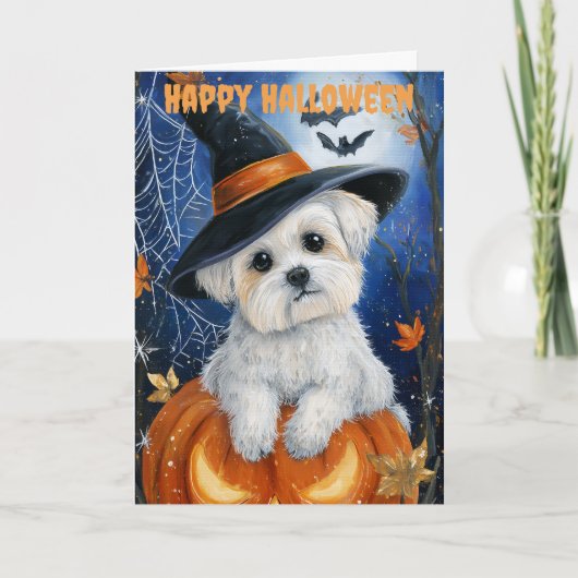 Halloween Maltese Dog シーズンカード (正面)