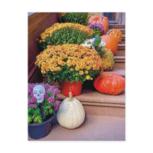 Halloween Pumpkin Stairs New York Postcard