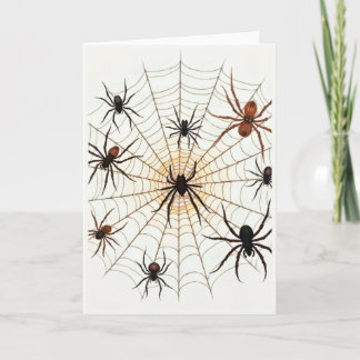 Halloween Spider Card カード
