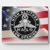 HALO(ハロー)ウィング フォトプラーク (正面)