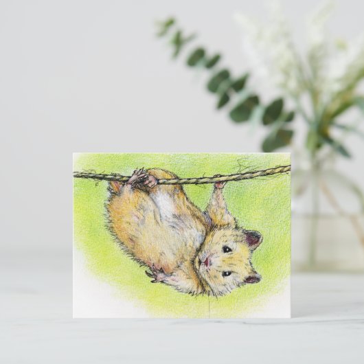 Ham ポストカード (スタンド正面)