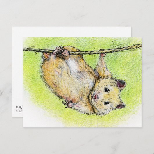 Ham ポストカード (正面/裏面)