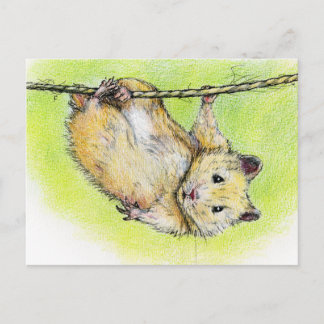 Ham ポストカード