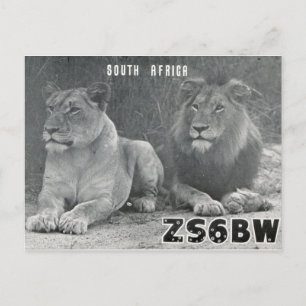 Ham Radio QSL Card South Africa Lionsポストカード ポストカード