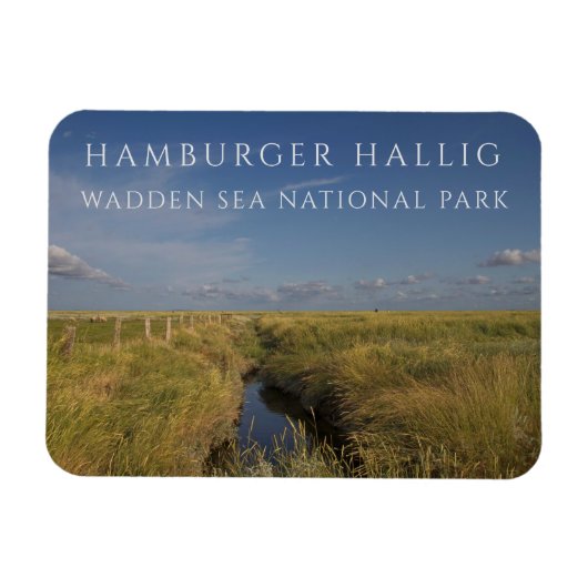 Hamburger Hallig (Wadden Sea,ドイツ) マグネット (横)