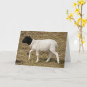 HAMbWGグリーティングカード – 白黒 カード (黄色い花)