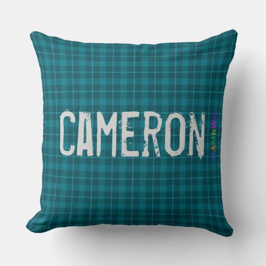HAMbWGバニティピロー – 名前を追加 – ティール(緑がかった色)Plaid クッション (正面)