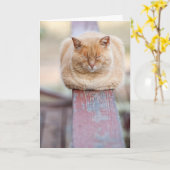 HAMbWG – グリーティングカード – キャットオンレール (黄色い花)