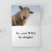 HAMbWG -グリーティングカード-羊 カード (内部)