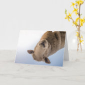 HAMbWG -グリーティングカード-羊 カード (黄色い花)