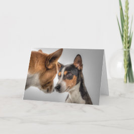 HAMbWG – グリーティングカード – 2犬