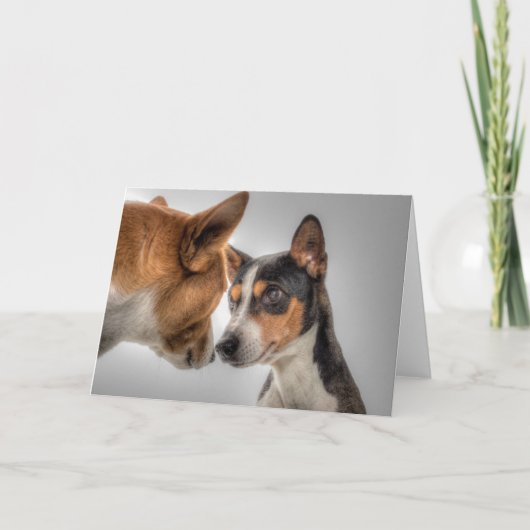 HAMbWG – グリーティングカード – 2犬 (正面)