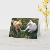 HAMbWG – グリーティングカード – 2猫 (黄色い花)