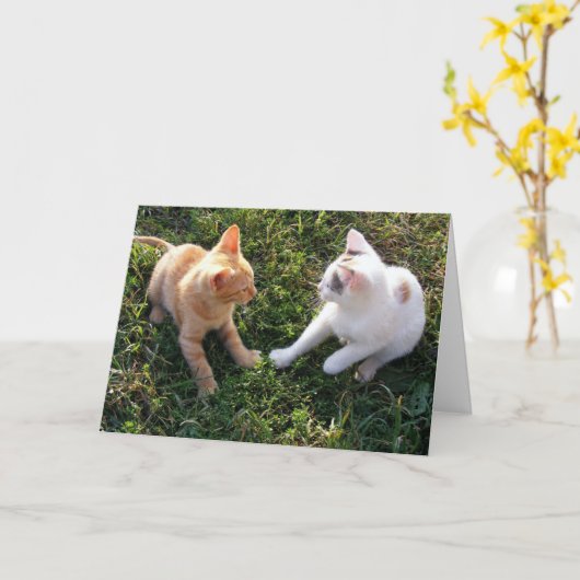 HAMbWG – グリーティングカード – 2猫 (黄色い花)