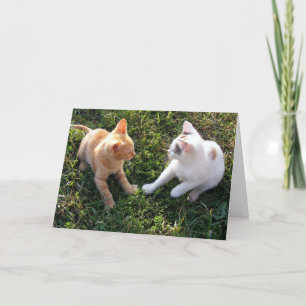 HAMbWG – グリーティングカード – 2猫