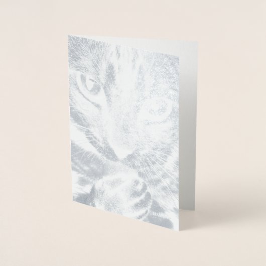 HAMbWG – シルバーフォイルカード – Cat 箔カード (正面)