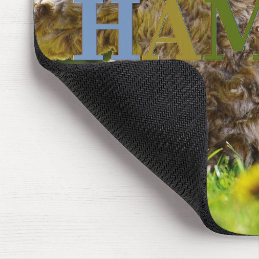 HAMbWG – マウスパッド – Teddy Bear Buddies (コーナー)