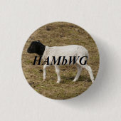 HAMbWG – 四角ボタン – 黒い頭の羊 缶バッジ (正面)