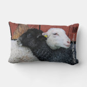 HAMbWG – 腰枕 – 黒い羊の白い羊 ランバークッション (裏面)