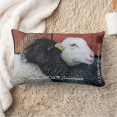 HAMbWG – 腰枕 – 黒い羊の白い羊 ランバークッション (ブランケット)