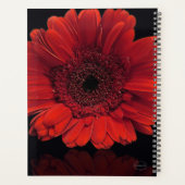 HAMbWG – 赤ガーベラ花 プランナー手帳 (裏面)