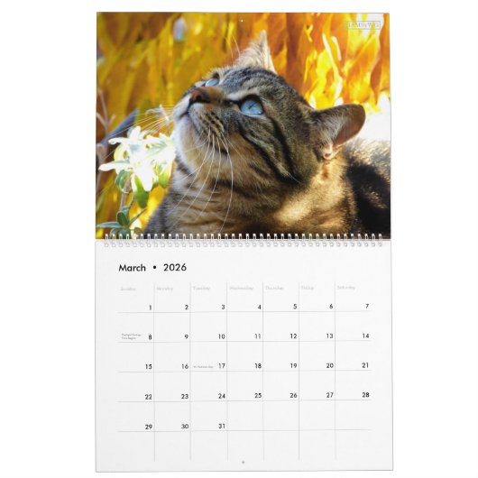 HAMbWG - Bright Cats Calendar カレンダー (3月 2026)