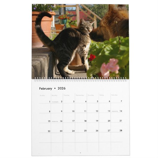 HAMbWG - Bright Cats Calendar カレンダー (2月 2026)
