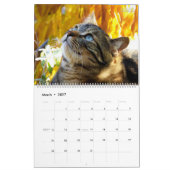 HAMbWG - Bright Cats Calendar カレンダー (3月 2027)