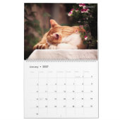 HAMbWG - Bright Cats Calendar カレンダー (1月 2027)