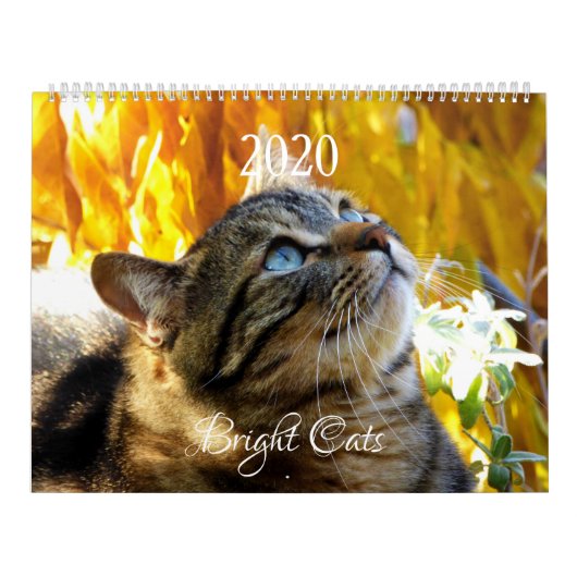HAMbWG - Bright Cats Calendar カレンダー (カバー)