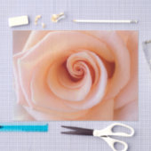 HAMbyWGピーチバラ 薄葉紙 (クラフト)