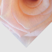 HAMbyWGピーチバラ 薄葉紙 (詳細)