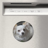 HAMbyWGペット磁石 マグネット (インサイチュ (食洗機))