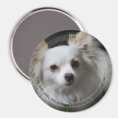 HAMbyWGペット磁石 マグネット (正面/裏面)