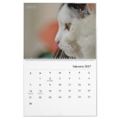 HAMbyWGモダン猫カレンダー カレンダー (2月 2027)