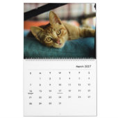HAMbyWGモダン猫カレンダー カレンダー (3月 2027)