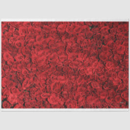 HAMbyWGレッドローゼス 薄葉紙