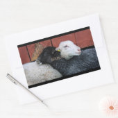 HAMbyWG – シール – 黒い羊の白い羊 (封筒)